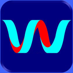 Wizsm™